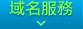 域名服務