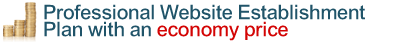 Professional Website Establishment Plan with an economy price Professional Website Establishment Plan with an economy price