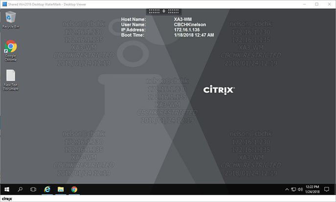 Citrix Virtual Desktop